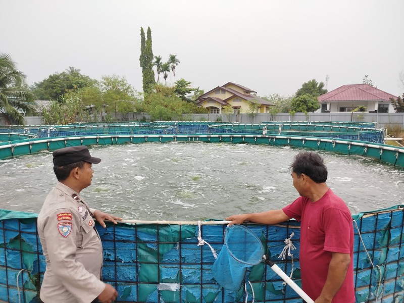 Bhabitkatimas Kelurahan Mekar Sari Cek Kolam Ikan Dukung Ketahanan Pangan Nasional