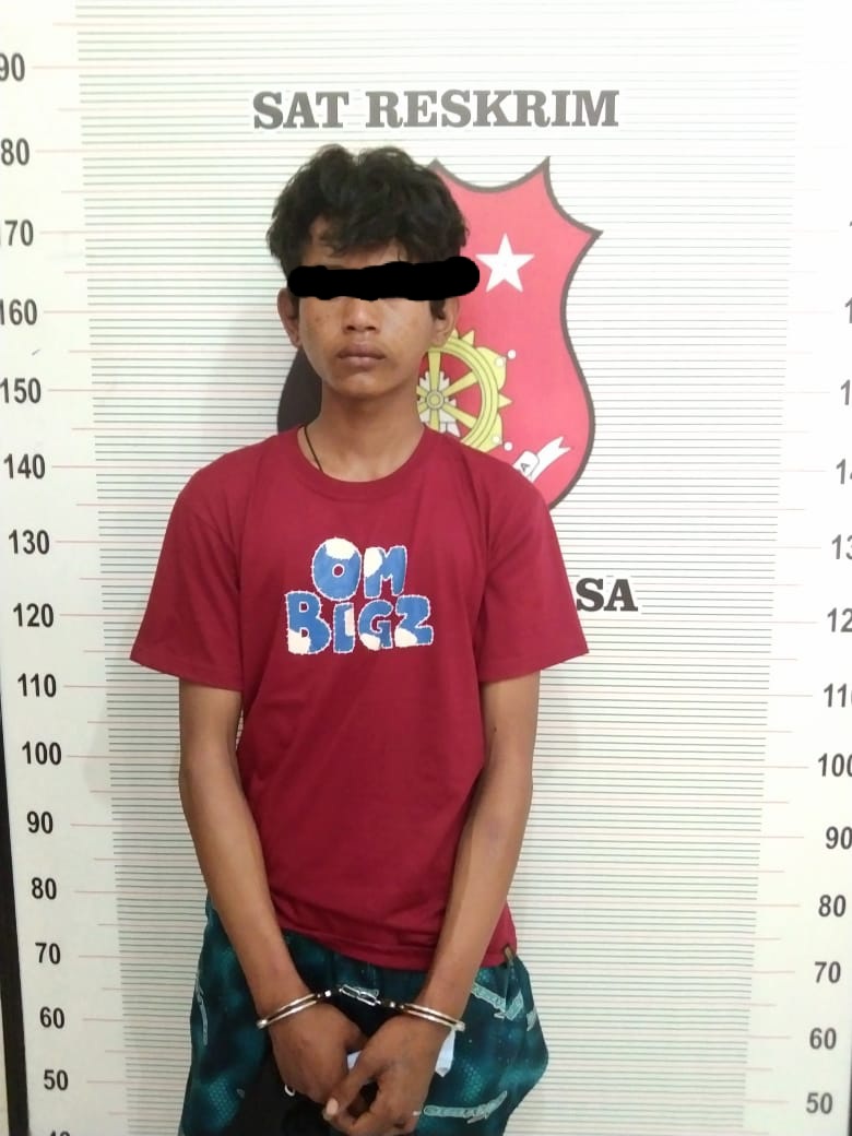 Kabur ke Bukittinggi,  Polres Toba Ringkus Otak Pelaku Pembunuhan Guru