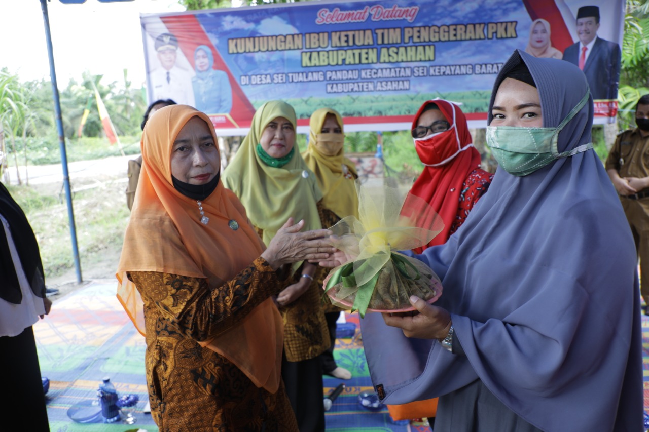 Tim Penggerak PKK Kabupaten Asahan Kunjungi UPTD BPPP Pertanian Wilayah I