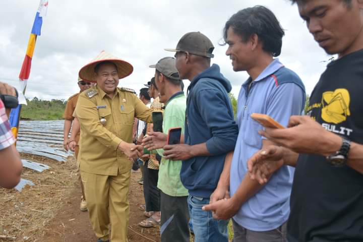 Tanam Bersama Kelompok Suka Tani, Eddy Berutu Bagikan Alat Pertanian 5 Unit