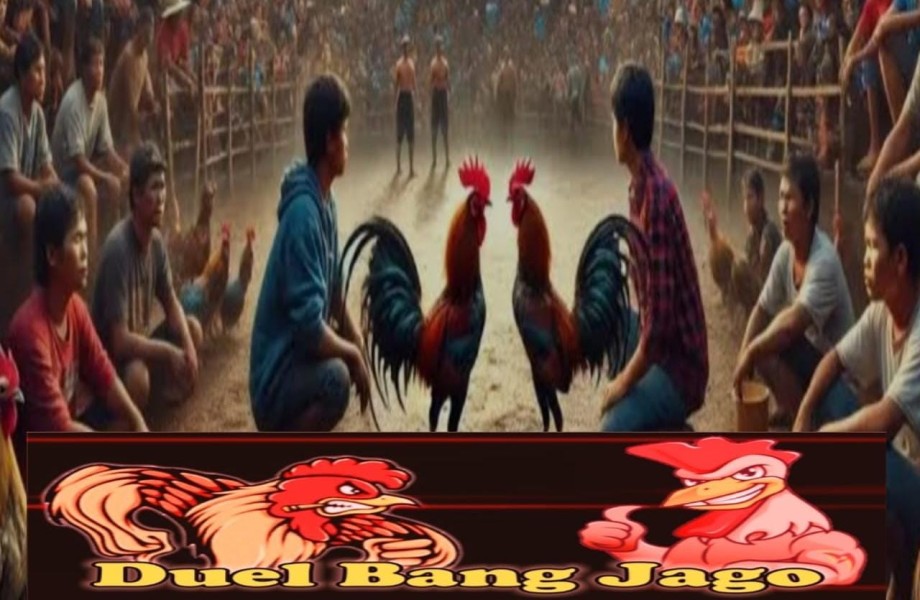 Rebut Hadiah Utama Sepeda Motor, Arena Sabung Ayam Binjai Dibuka Dibulan Ramadhan