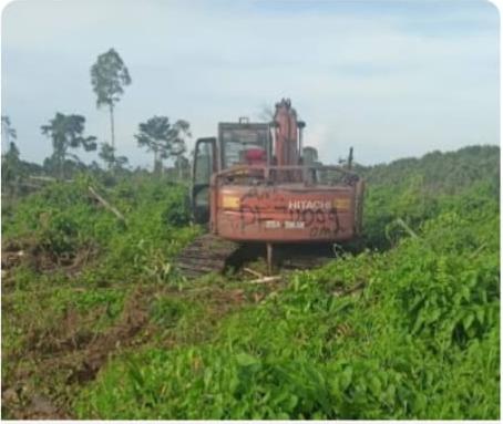 Marak Perambahan Hutan di Sungai Sembilan, Diduga Ada Penyalahgunaan Alat Berat dan Penjualan Nama Pejabat
