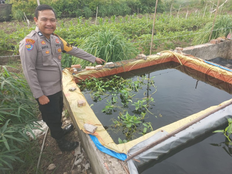 Bhabinkamtibmas Kelurahan Guntung Sambangi Budidaya Ikan Lele, Dukung Ketahanan Pangan