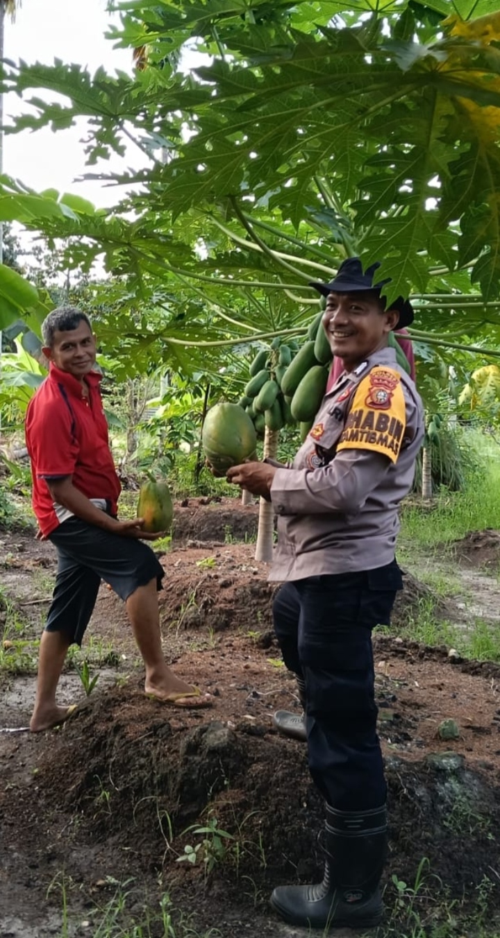 Bhabinkamtibmas bersama Petani Lakukan Pengecekan Perkarangan Pangan Bergizi dalam Program Ketahanan Pangan Nasional