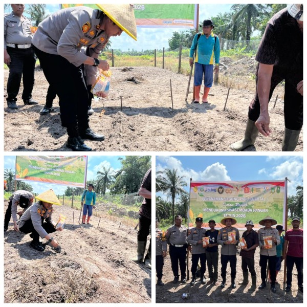 Kapolsek Bukit Kapur IPTU Zulfahli, S.H., M.H. Pimpin Langsung Penanaman Jagung Pipil  Dukung Swasembada Pangan 2026