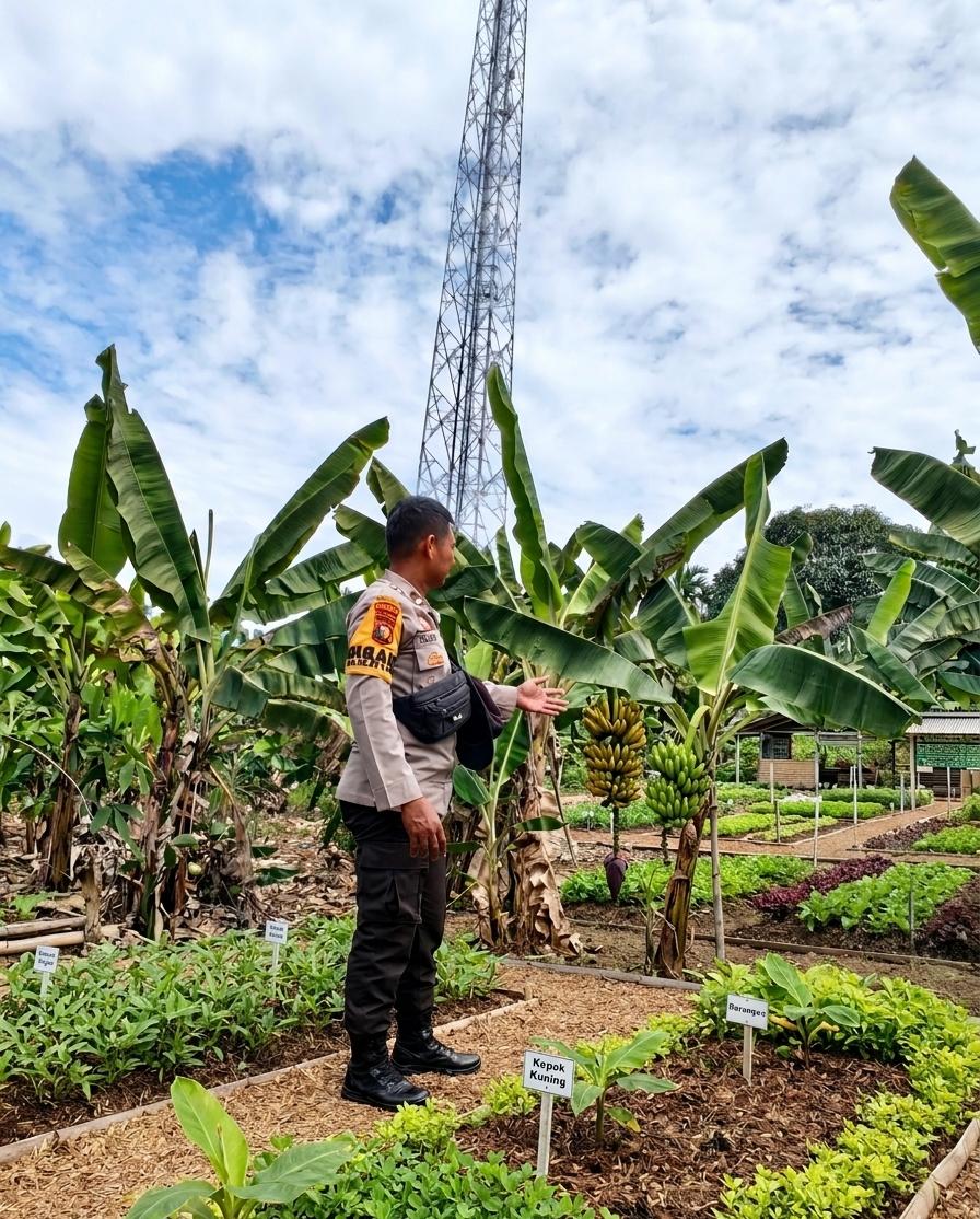 Bhabinkamtibmas Kelurahan Mundam Sambangi Petani Pisang dan Sayur,Dukung Ketahanan Pangan Bergizi. Masyarakat