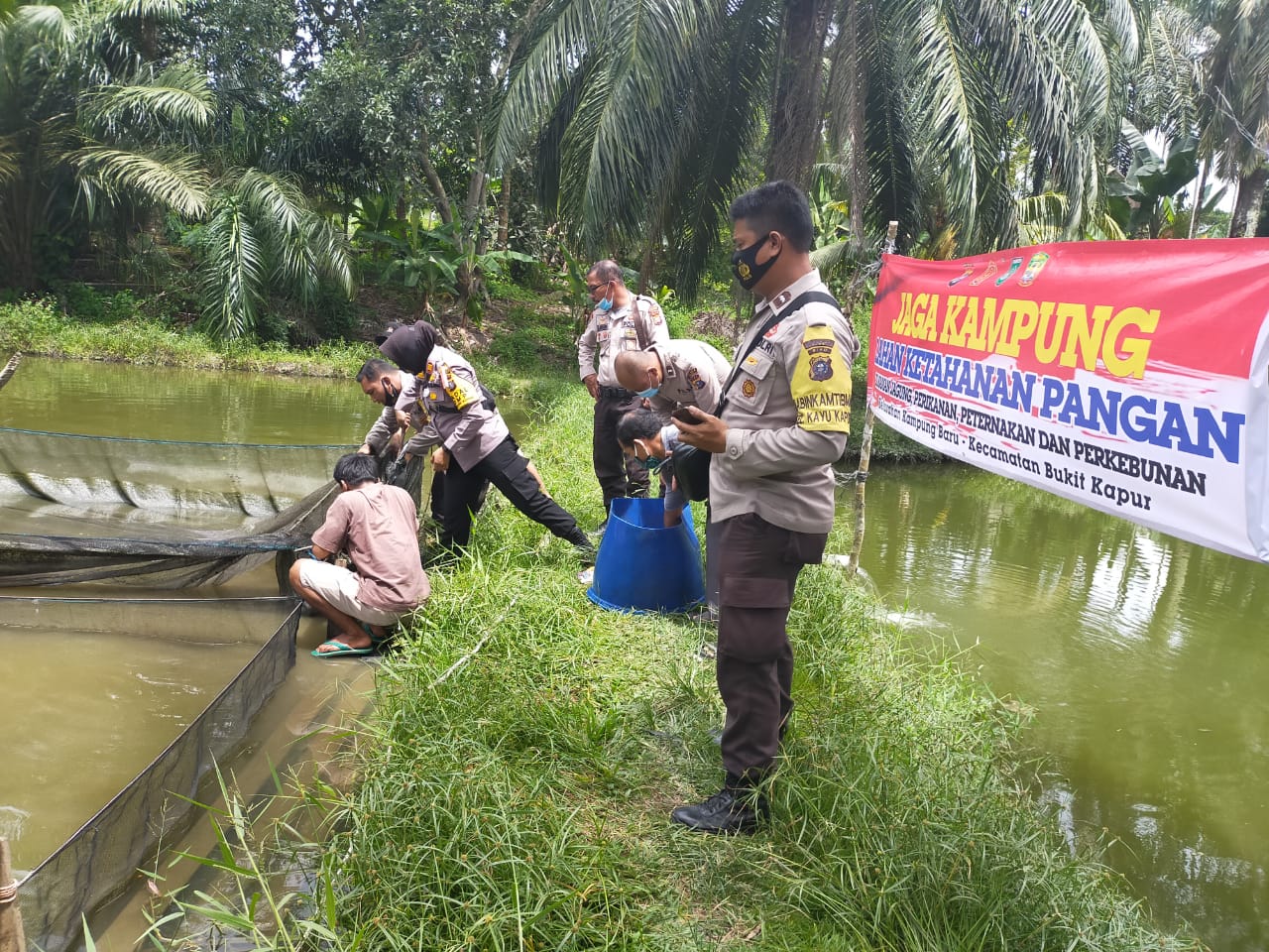 Gerakan Jaga Kampung Binaan Polsek Bukit Kapur Polres Dumai Panen  34 Kg Ikan