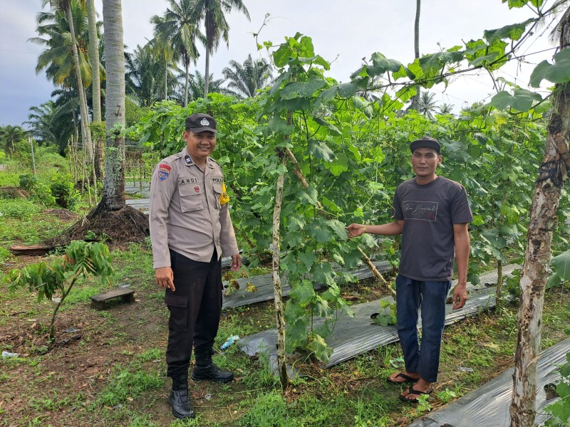 Bhabinkamtibmas Kelurahan Bumi Ayu Sinergi dengan Petani Cek Perkarangan Pangan Bergizi Tanam Sayur Gambas