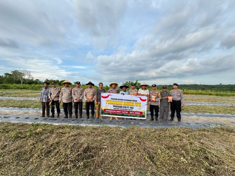 Polsek Bukit Kapur Melaksanakan Kegiatan Penanaman Jagung Pipil