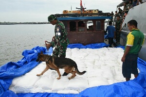 WFQR I Koarmabar Tangkap Kapal Muat 25 Ton Beeas Ketan Ilegal di Perairan Aceh