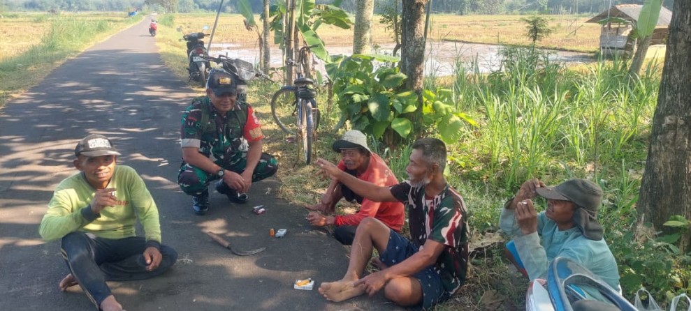 Babinsa Komsos dengan Petani, Pastikan Musim Tanam Ketiga Tetap Aman di Tengah Kemarau