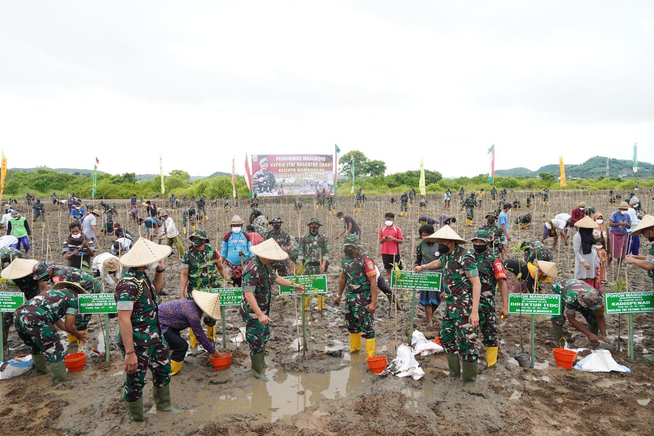 Pangdam Dampingi Kasad Tanam Mangrove dan Serahkan Bingkisan di Loteng