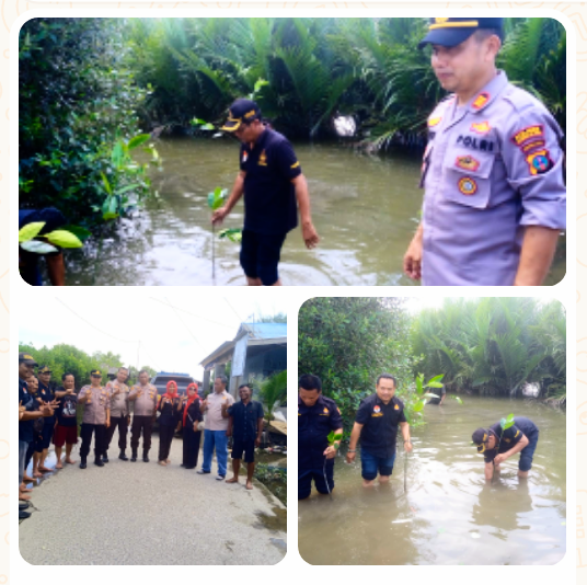 PB Pendawa Indonesia Tanam 4 Ribu Pohon Mangrove Berkolaborasi dengan Poktan Tambak Deli dan Aspek Marindo Medan Marelan