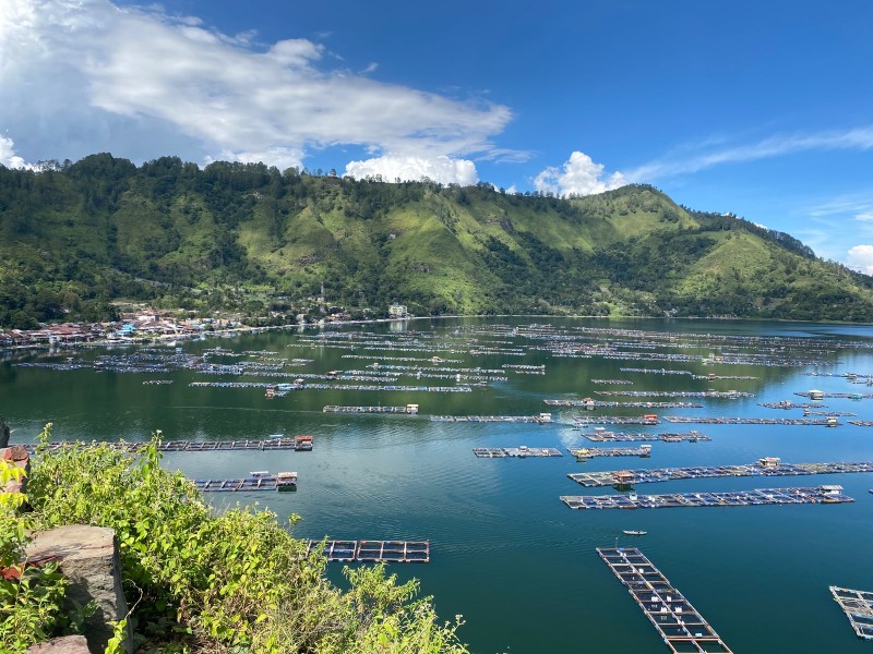 Deklarasi Nol KJA Tinggal Janji? Warga Haranggaol Pertanyakan Komitmen Kepala Daerah Selamatkan Danau Toba