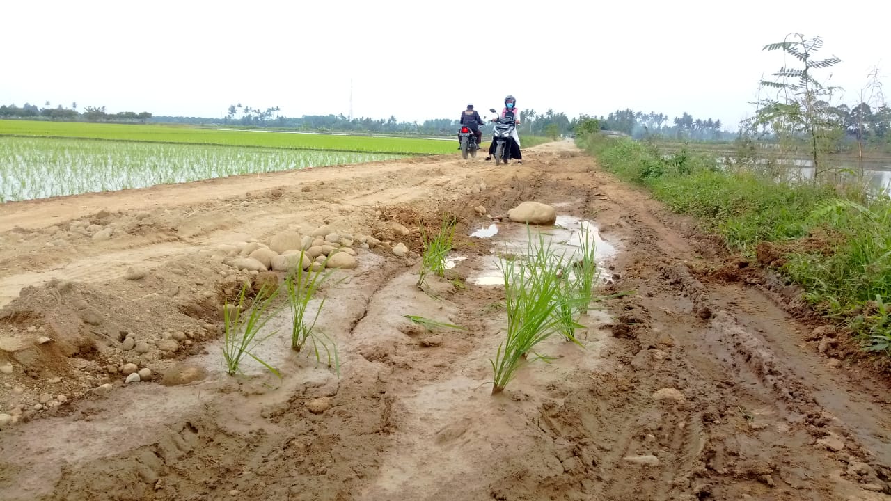 Jadi Prioritas di Musrenbang Kecamatan, Jalan Protokol Tak Kunjung di Perbaiki