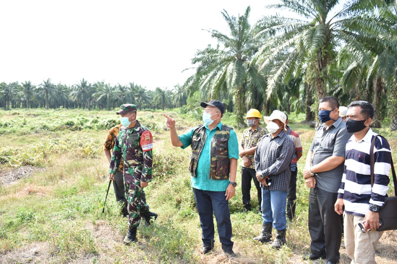 Hindari Gejolak Sosial,Bupati Sergai Ir H Soekirman Tinjau Lahan Pemakaman Covid-19