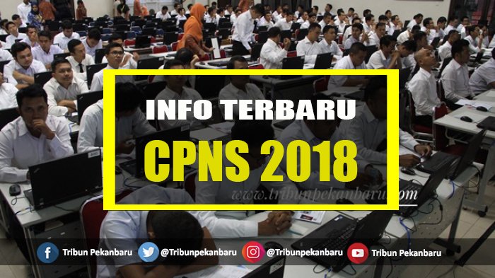 CPNS 2018, Ini Jumlah yang Lulus di Pemprov Riau serta di Kabupaten dan Kota di Riau