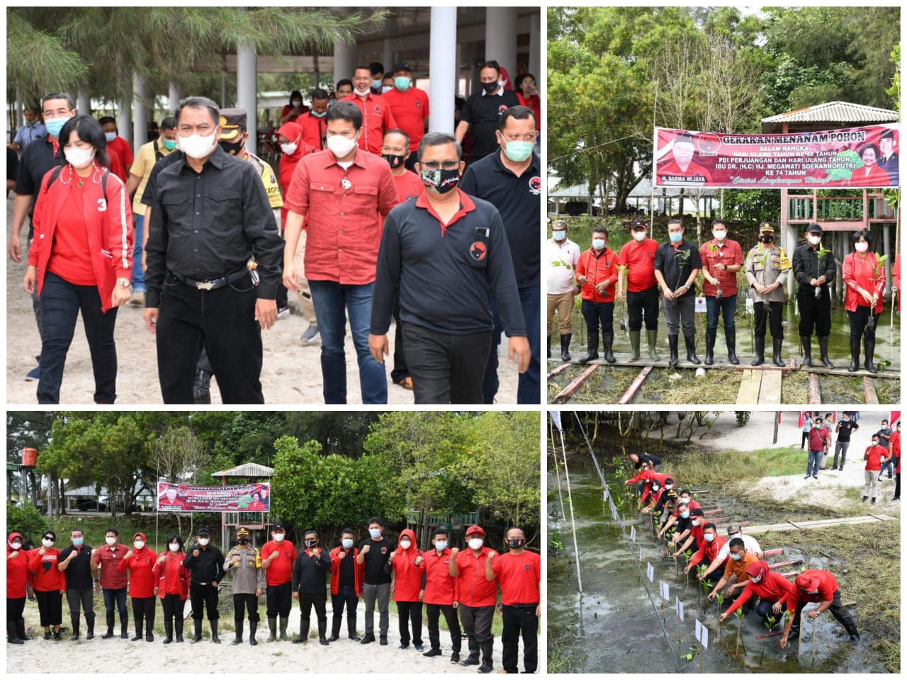 HUT PDIP ke - 48, DPC PDIP Sergai Tanam 500 Pohon Mangrove di Pantai Romantis