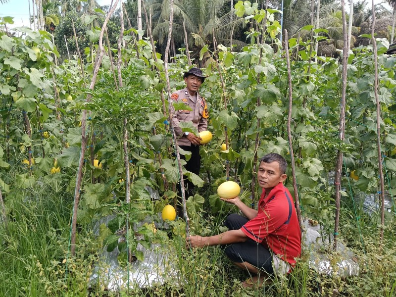 Dukung Program Ketahanan Pangan Nasional, Bhabinkamtibmas bersama Petani Melakukan Pengecekan Perkarangan Pangan Bergizi