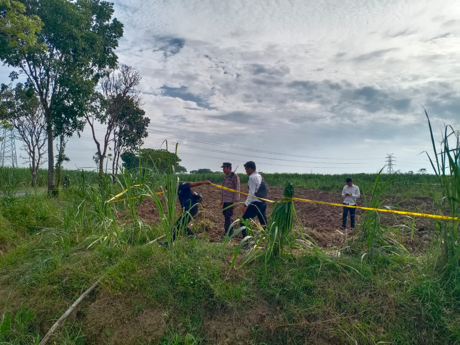 Puluhan Hektar Tanaman Tebu Milik PTPN II Dirusak Oknum Kelompok Tani, Polisi Melakukan Penyegelan