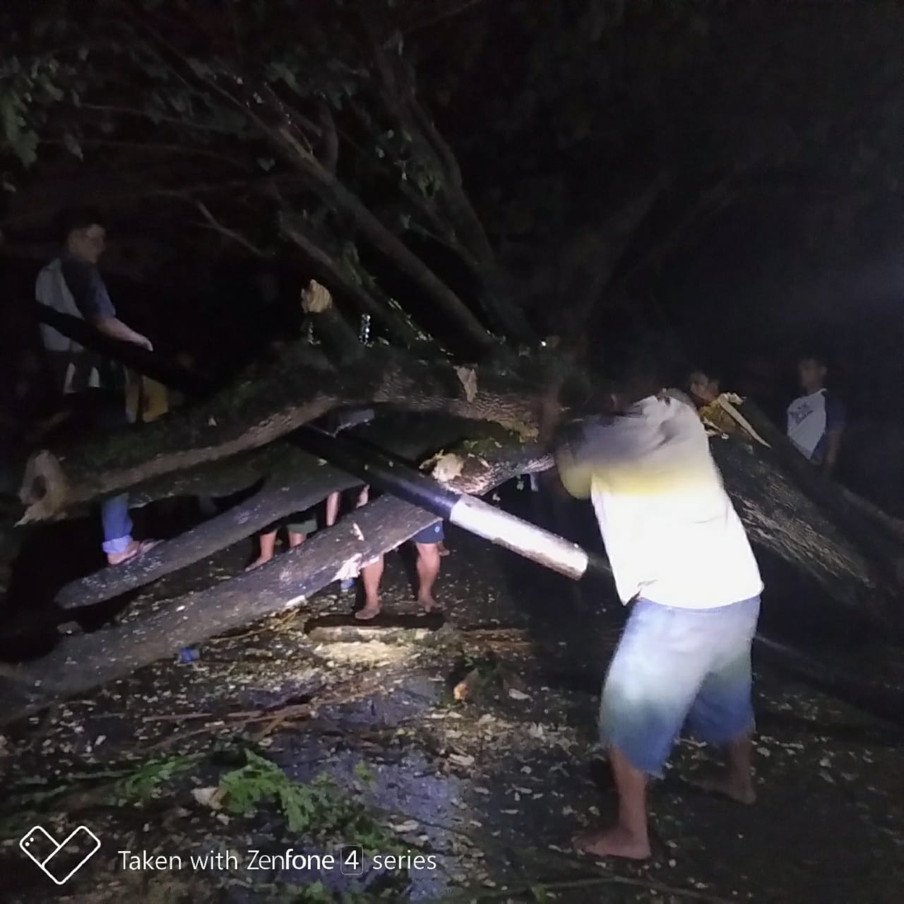 Wali Kota Instruksikan OPD Terkait  Atasi Pohon Tumbang