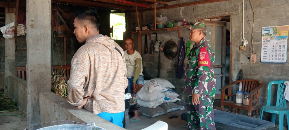 Dekat dengan Peternak, Babinsa Selo Gencarkan Edukasi Cegah PMK dan BEF pada Ternak Sapi”
