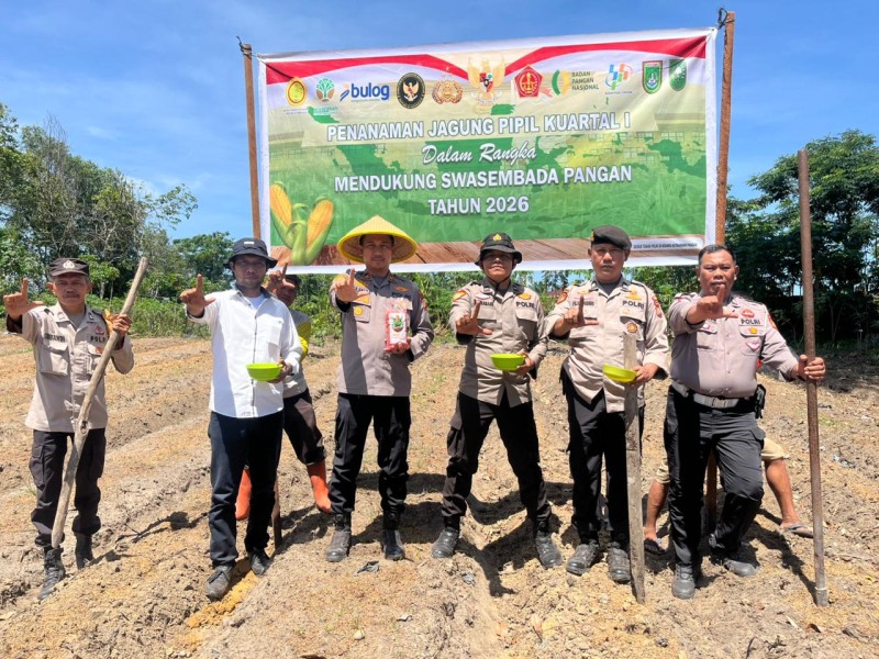 Polres Dumai: Polsek Bukit Kapur Tanam Jagung di Lahan 0,5 Hektar Guna Jaga Ketahanan Pangan