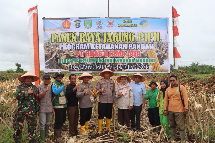 Panen Raya Jagung Pipil di Dumai Hasilkan ±4.500 kg, Dukungan Kapolres Bagi Ketahanan Pangan Nasional