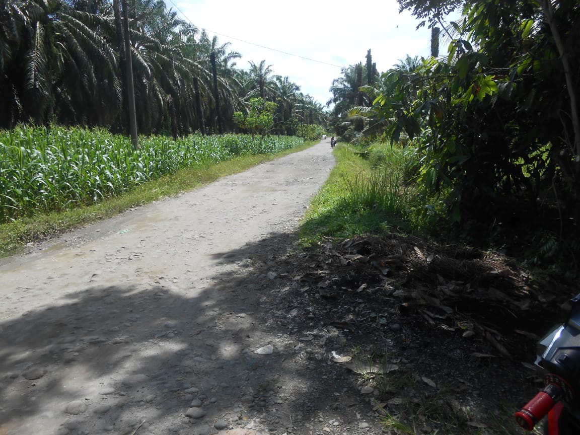 Jalan di Desa Kwala Air Hitam Kecamatan Selesai Rusak Parah