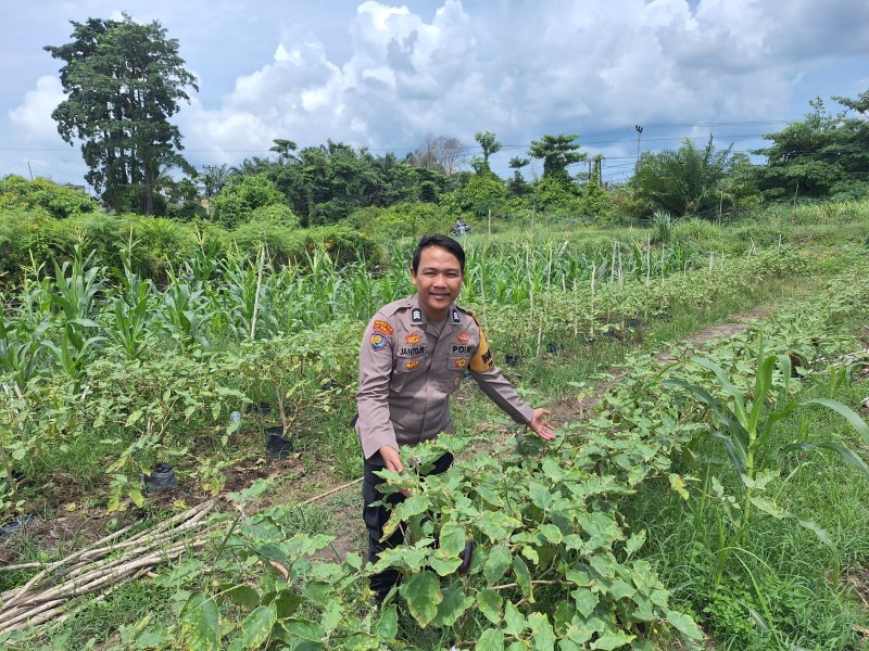 Bhabitkatimas Sambangi Petani Terong Dukung Ketahanan Pangan Nasional