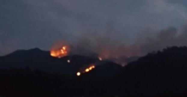 Hutan Gunung Merbabu Sisi Barat Terbakar, Api Belum Padam