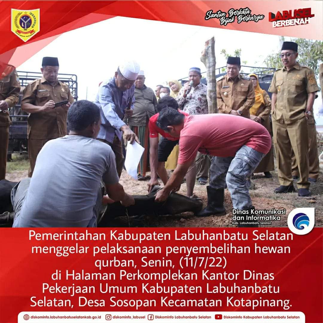Pemkab Labusel menyembelih hewan Qurban sebanyak 56 ekor sapi