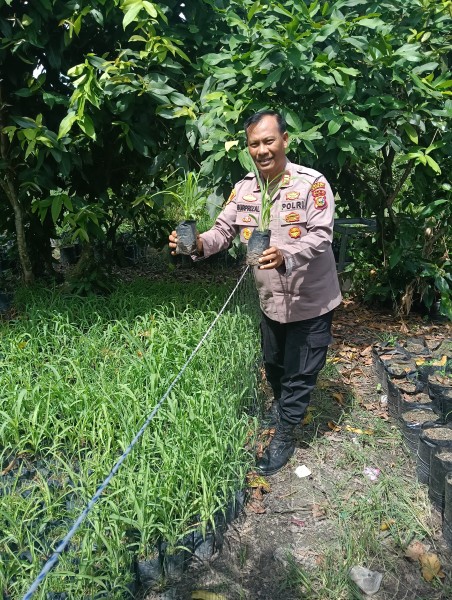 Polsek  Medang  Kampai  Bersama Poktan  Almadani Terapkan  Sistim Baru  Pembibitan Jagung Pipil Atasi Kendala Tanah, Tingkatkan Keberhasilan Tanam