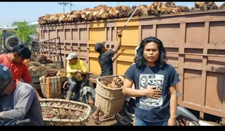 Para petani sawit Kota Dumai Dukung Pemerintah Buka Ekspor Minyak Goreng