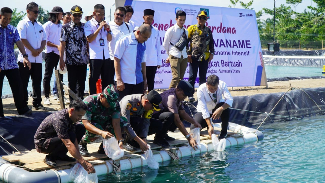 Pj. Bupati Langkat Faisal Hasrimy Resmikan Klaster Budidaya Udang Vaname