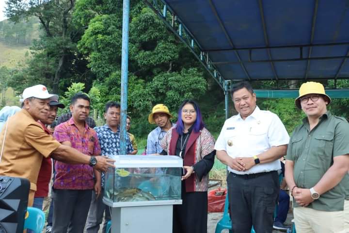 Rangkaian Semesta Dairi Memanggil, Pemkab Dairi Mulai Budidaya Ihan Batak