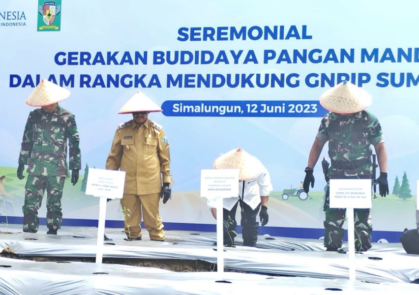 Wakil Bupati Simalungun Hadiri Seremonial Gerakan Budidaya Pangan Mandiri Tahun 2023