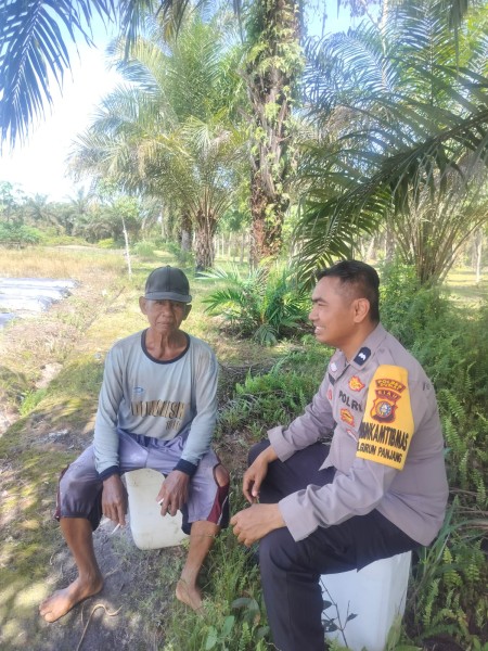 Bhabinkamtibmas Gurun Panjang Cek Tanaman Cabe Merah, Dukung Ketahanan Pangan Nasional