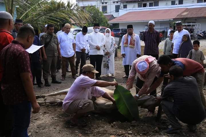 Bupati Labuhanbatu monitoring penyembelihan hewan Qurban di RS.Elvi Azis Rantauprapat