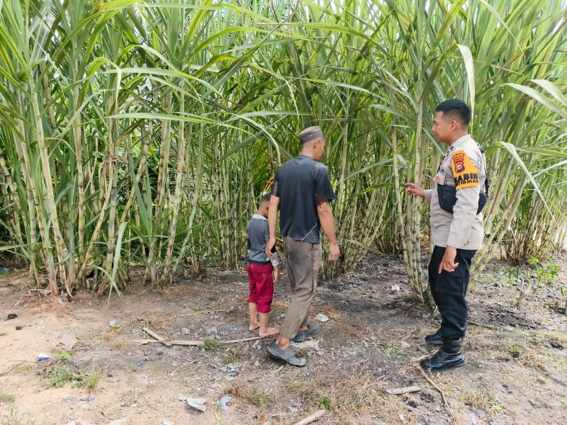 Bhabinkamtibmas Kelurahan Mundam Sambangi Kebun Tebu Milik Hendra, Dukung Ketahanan dan Kemandirian Pangan