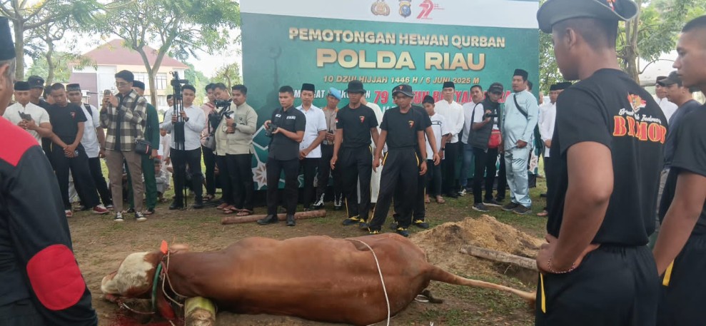 Irjen Hery Heryawan Lepas Secara Simbolis Pendistribusian Ratusan Hewan Kurban di Polda Riau