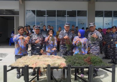 Pangkoarmada I Buka Pelatihan Pengolahan Rumput Laut di Kepulauan Riau
