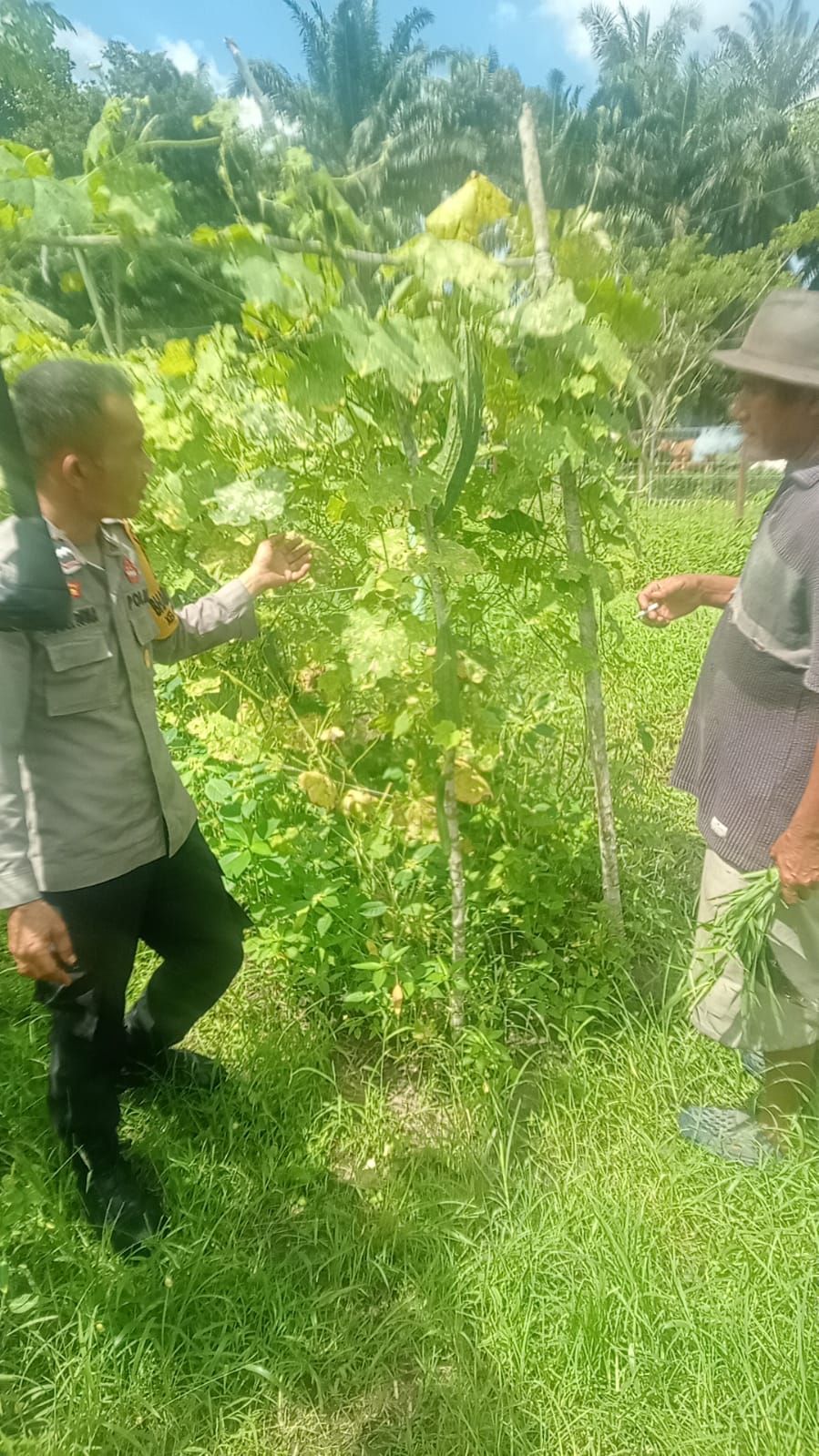 Bhabinkamtibmas Bagan Besar Timur Dampingi Petani Cek Perkarangan Pangan Bergizi
