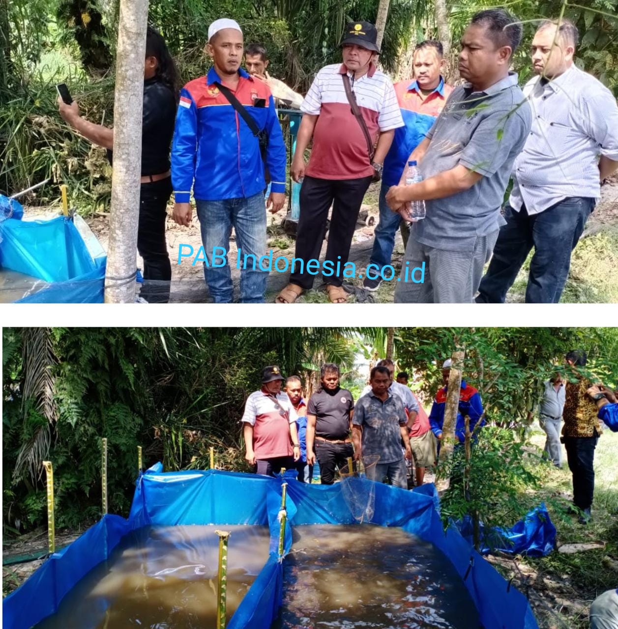 Hadiri Panen IKan Nila Wabup, Darma Wijaya Singgung Program Bantuan KUBE 