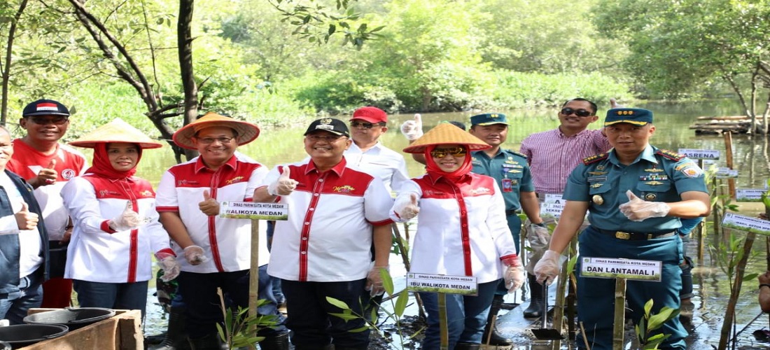Memeriahkan HUT RI Ke 73, Wali Kota Medan Tanam Mangrove Di Sicanang