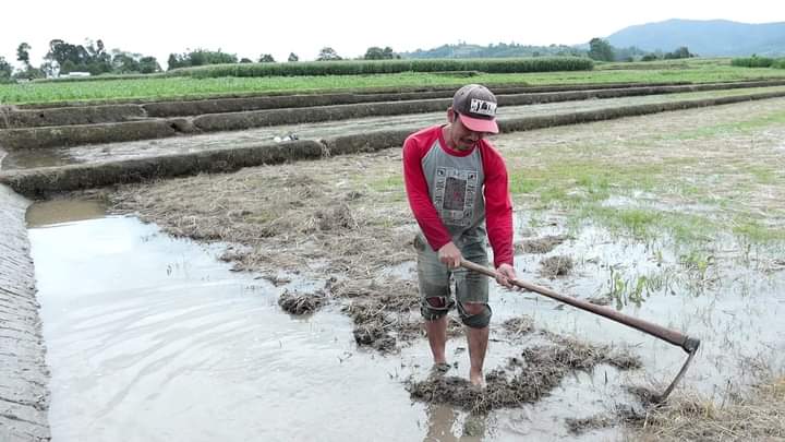 Lama Amblas, Irigasi Berampu Kembali Berfungsi dan Bisa Aliri 70 Hektar Sawah