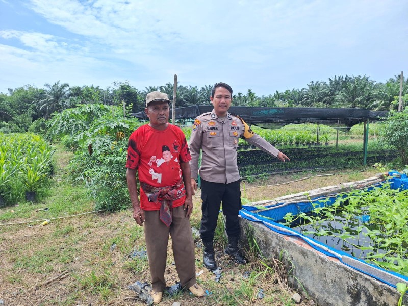 Bhabinkamtibmas Brigadir Janto Manurung Sambangi Budidaya Ikan Lele Milik Warga Dukung Ketahanan Pangan