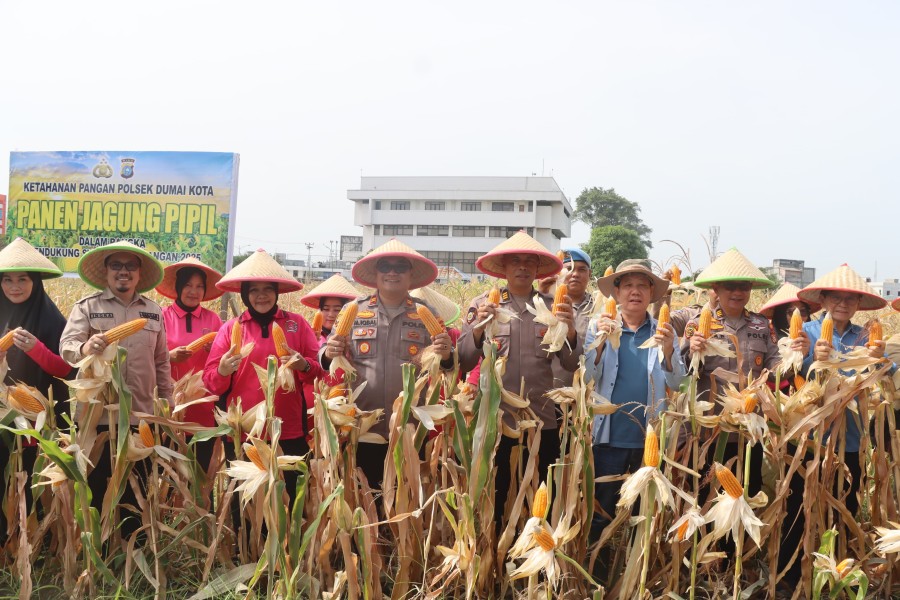 Polres Dumai Sukses Gelar Panen Jagung Pipil, Dukung Ketahanan Pangan Nasional