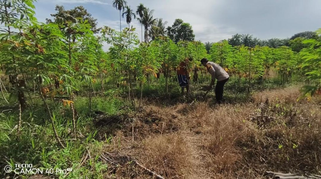 Bhabinkamtibmas Kelurahan Mundam Sambangi Petani Tanaman Aneka Sayur, Dukung Ketahanan Pangan Nasional