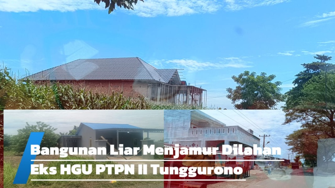 Diduga Terima Upeti, Perkim Dan Sat Pol PP Binjai Biarkan Bangunan Liar Menjamur Di Lahan Eks HGU PTPN II Tunggurono